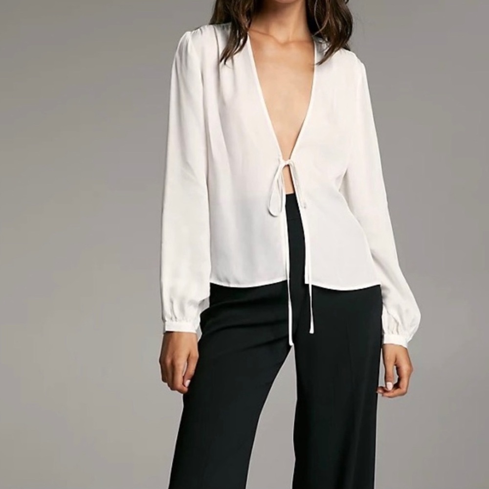 Aritzia Babaton Lovett Blouse